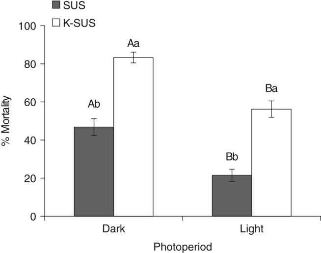 PS-4175-FIG-0006-b