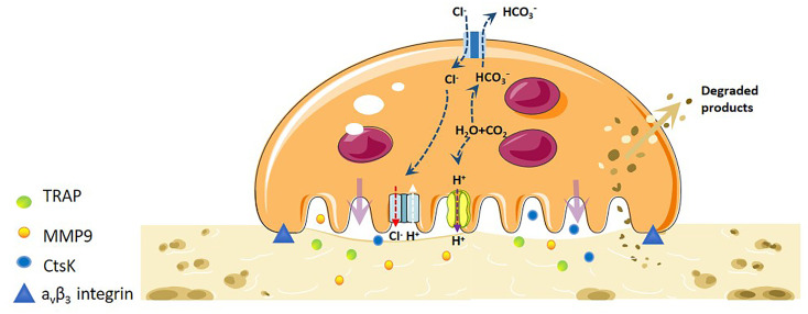 Figure 1