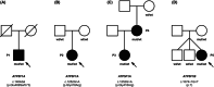 FIG. 1