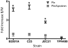 Fig. 2.