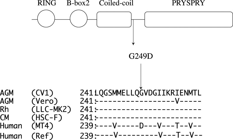 FIG. 1.