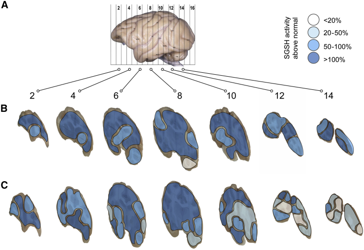 Figure 6