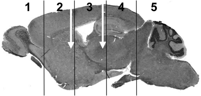 Figure 1