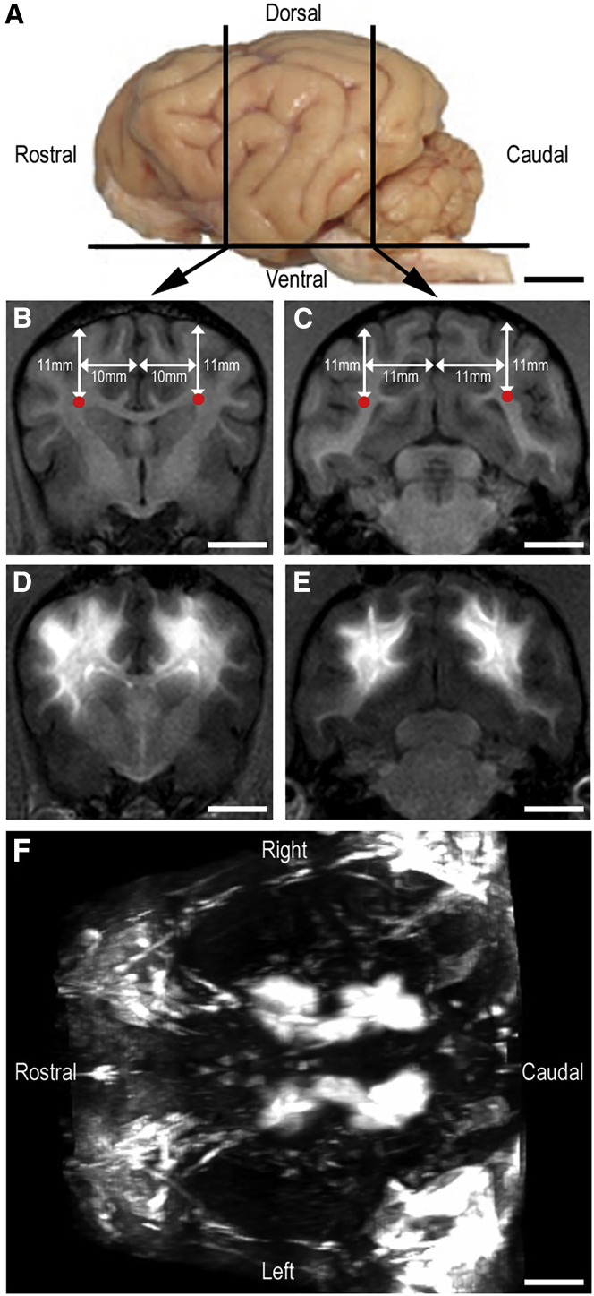 Figure 5