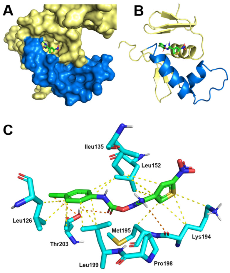 Figure 6