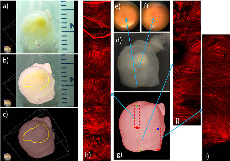 Figure 9: