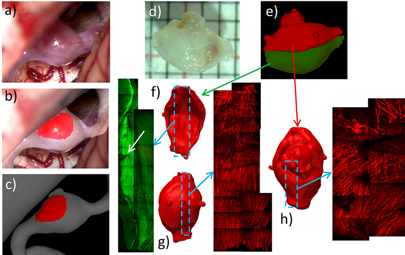 Figure 15: