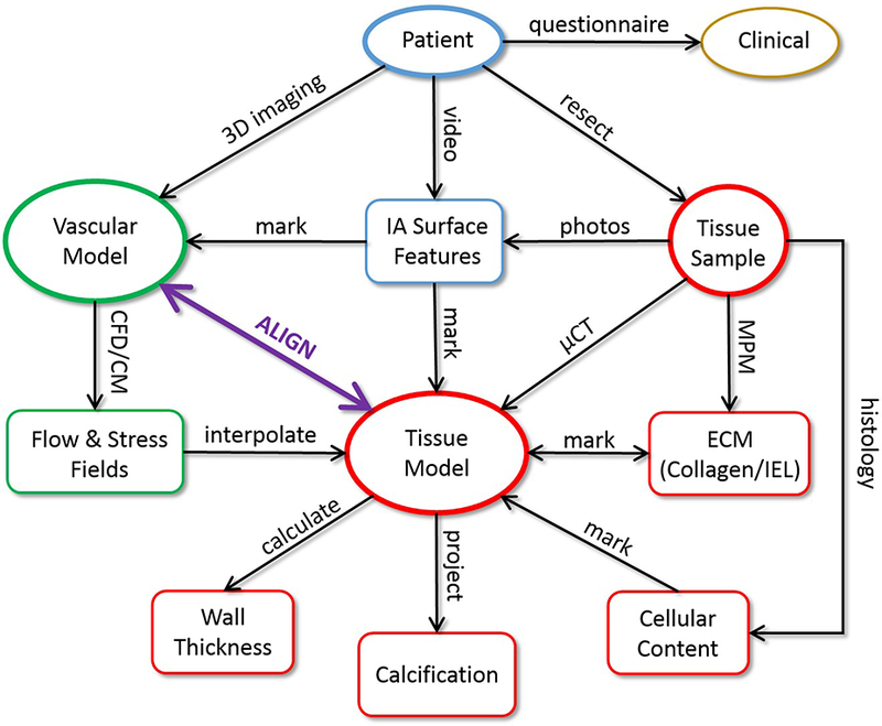 Figure 1: