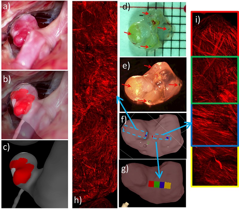 Figure 12: