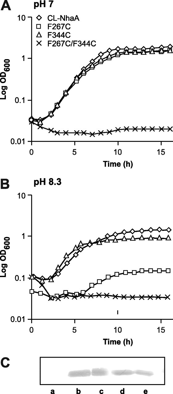 FIGURE 3.