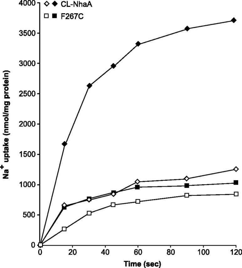 FIGURE 4.