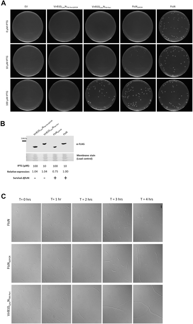 FIG. 7