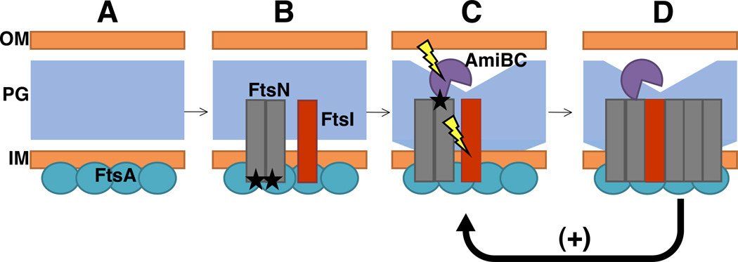 Fig. 8