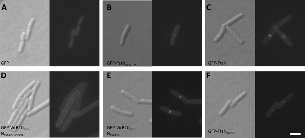 FIG. 5