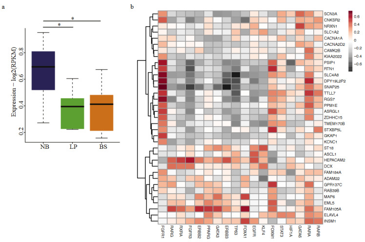 graphic file with name turkjbio-45-656-fig005.jpg