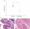 Fig. 10