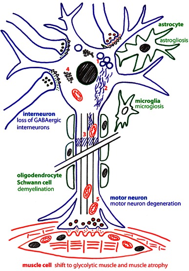 Fig. 2