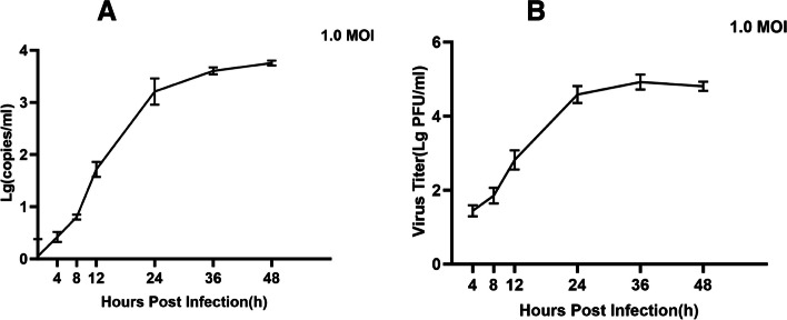 Fig. 1