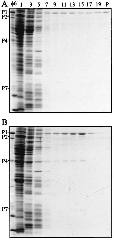 FIG. 5