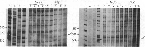 graphic file with name pnas00323-0049-a.jpg