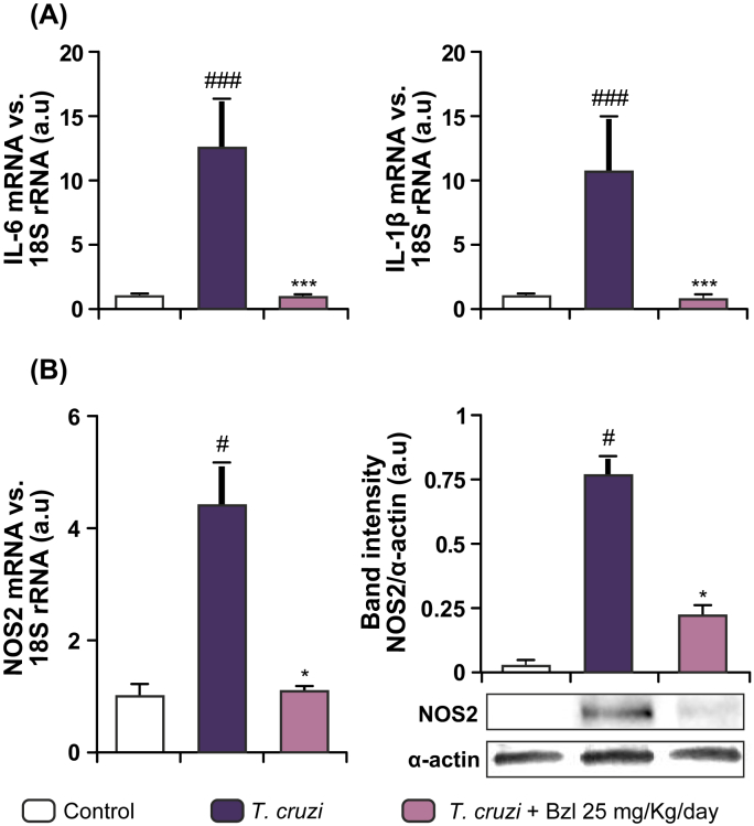 Fig. 3