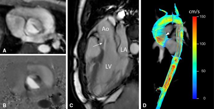 Fig. 4