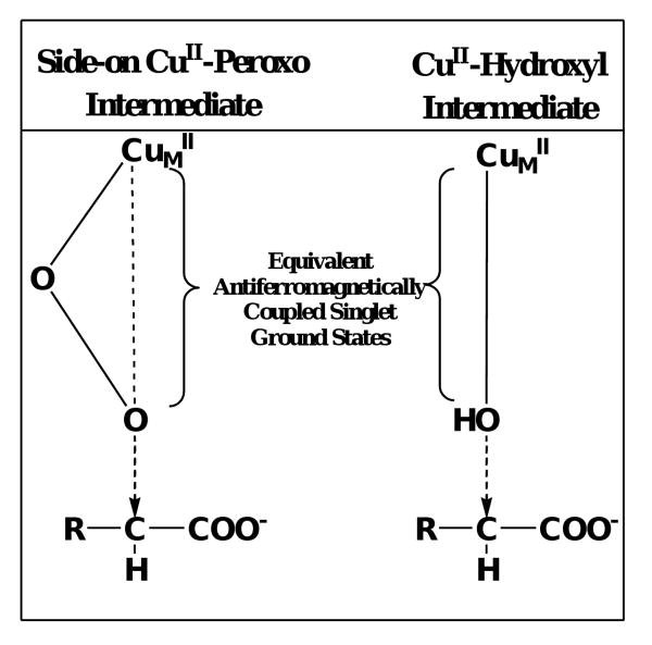 Scheme 3