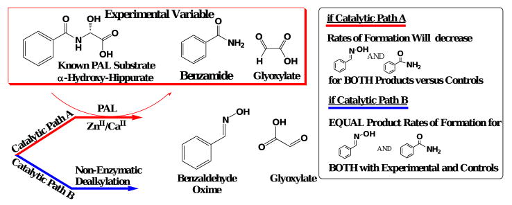 Scheme 4