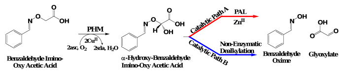 Scheme 4