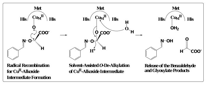 Scheme 6