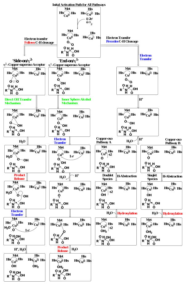 Scheme 2