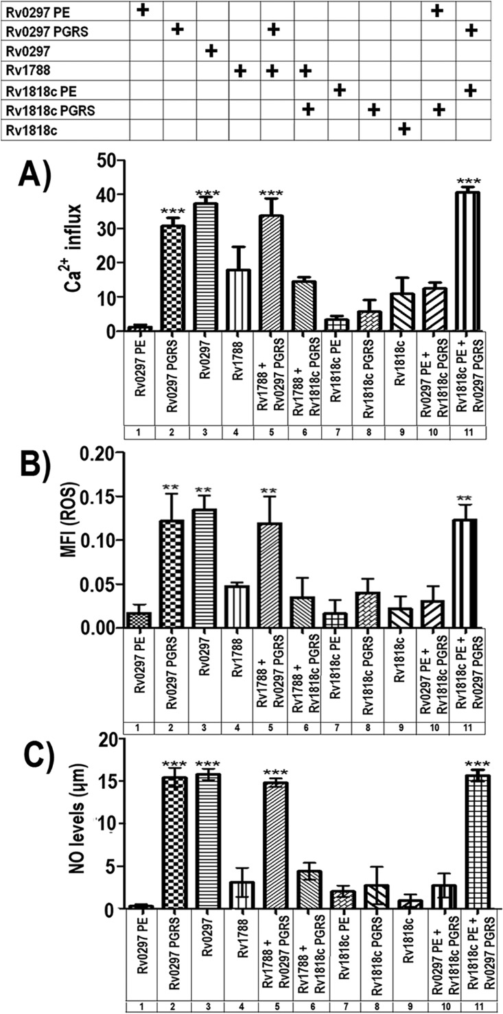 FIG 2 