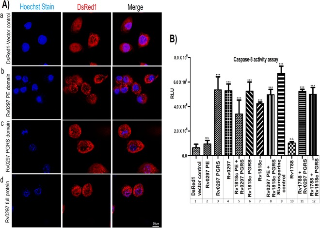 FIG 3 