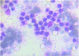 Fig. 4