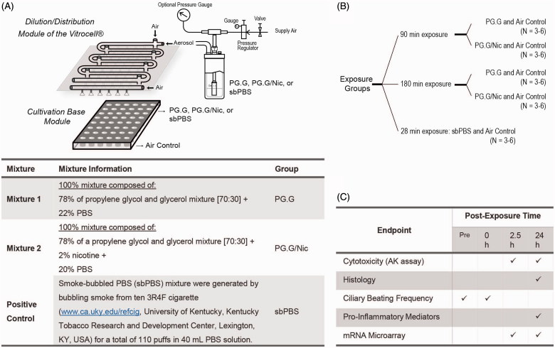 Figure 9. 