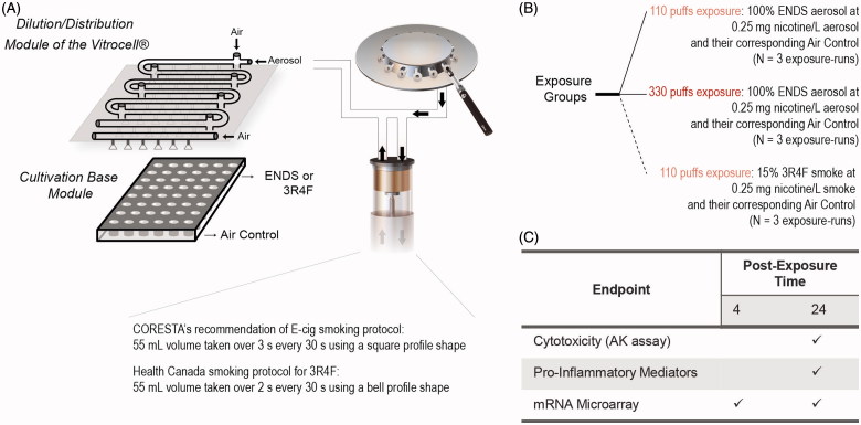 Figure 15. 