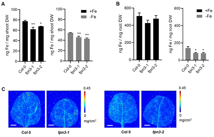 Figure 6.