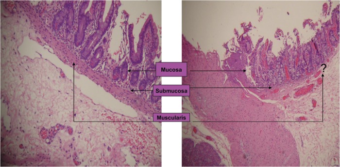 Figure 4: