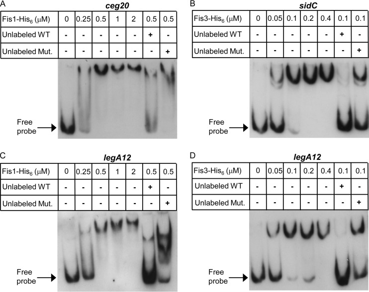 FIG 6