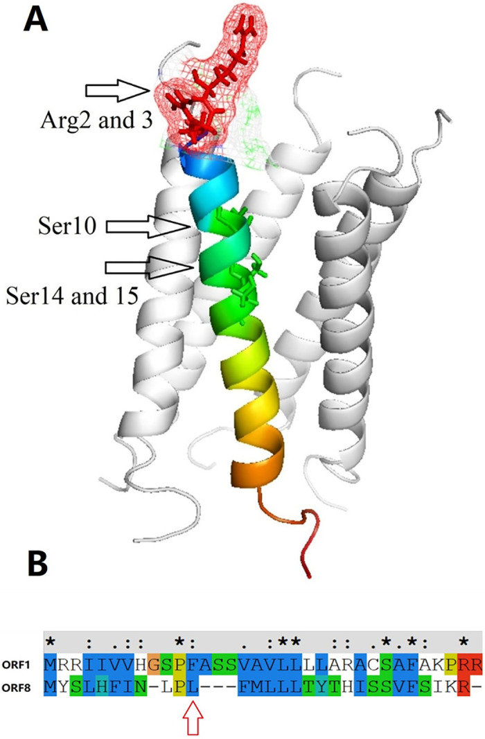 Fig 7