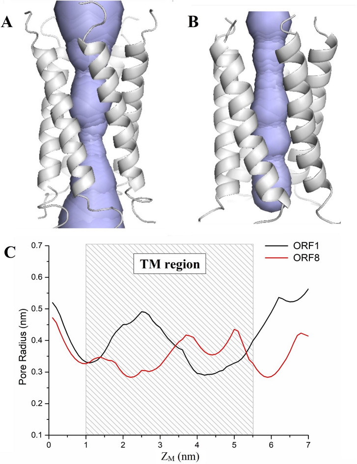 Fig 6