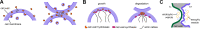 FIG 7