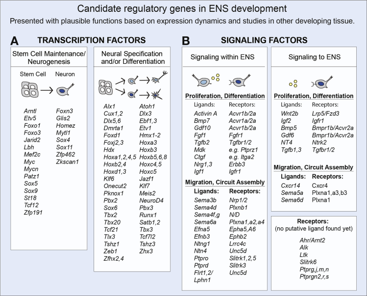 Figure 7