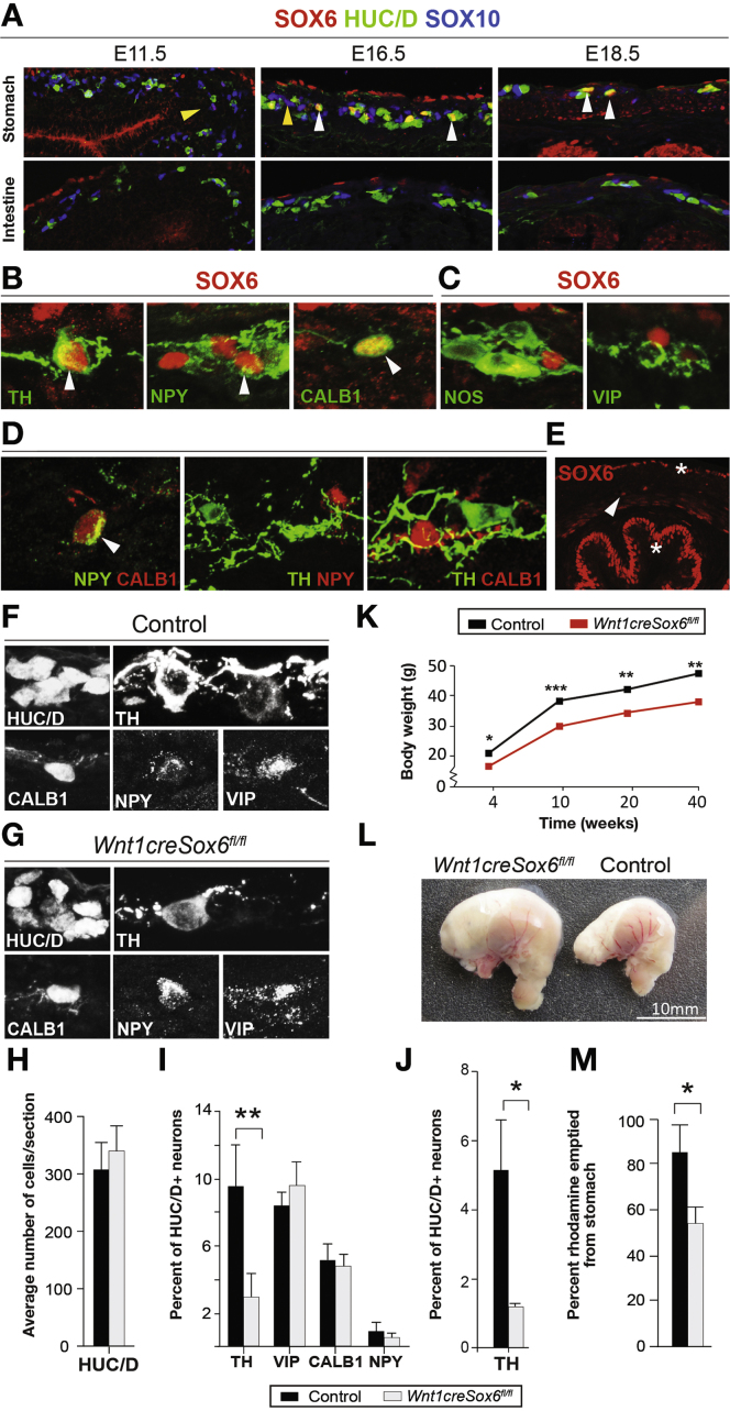 Figure 4