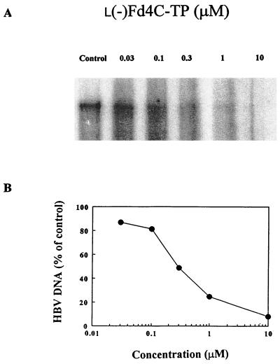 FIG. 6