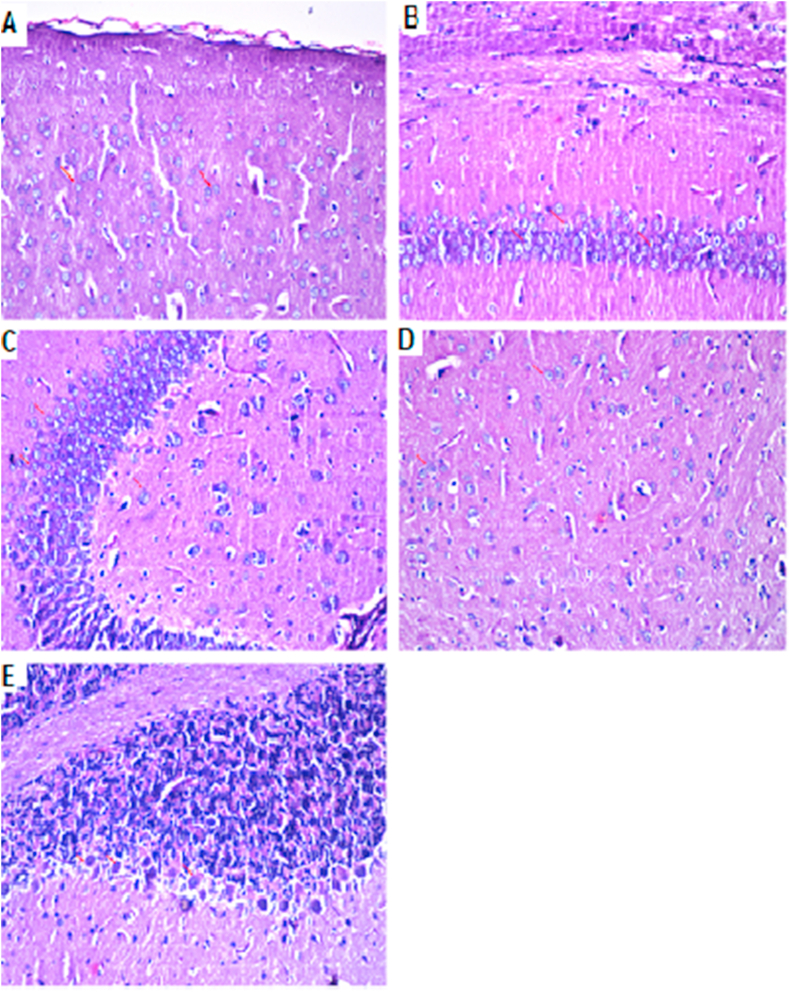 Figure 6