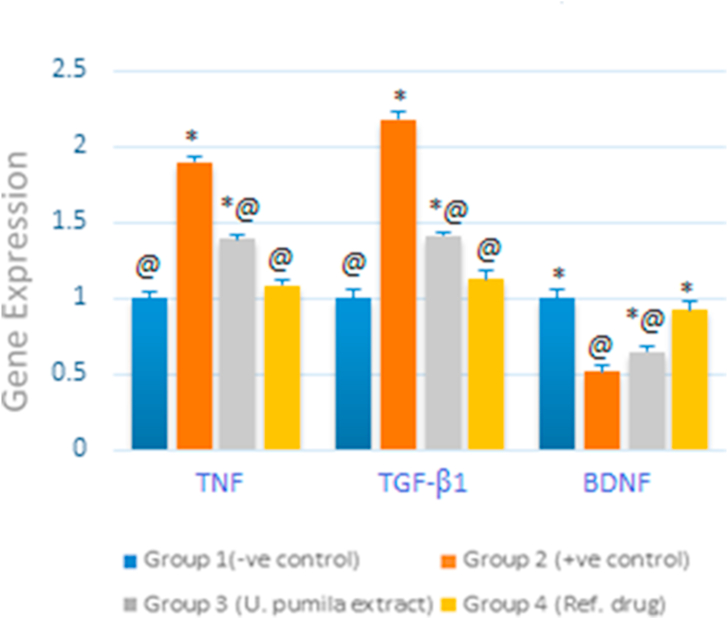 Figure 5