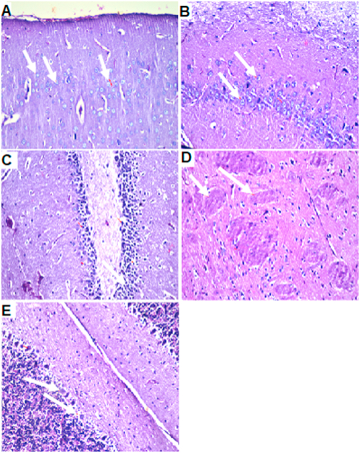 Figure 9