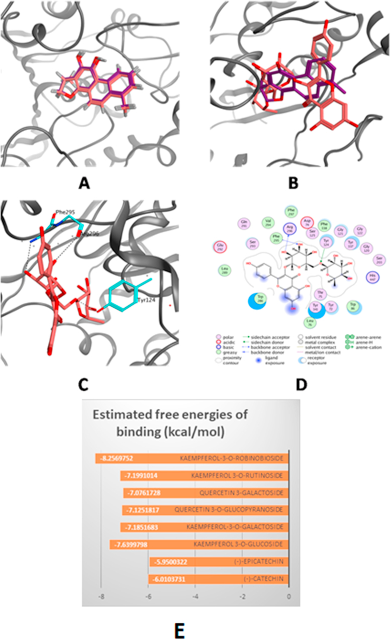 Figure 2