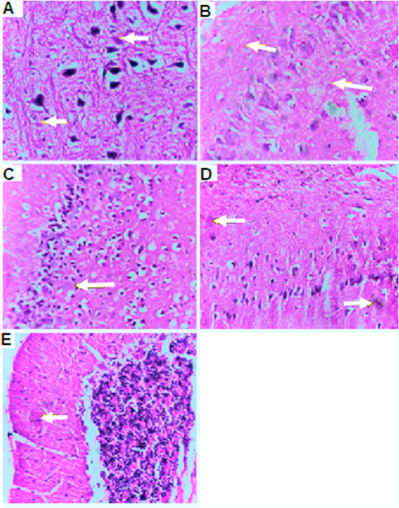 Figure 7